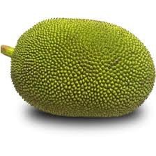 Jackfruit / कटहल