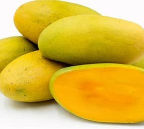 Dasheri Mango / दशहरी आम