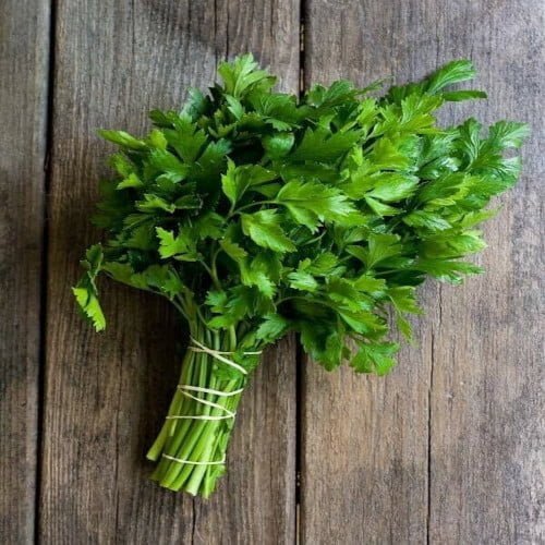 Coriander Leaves / हरा धनिया