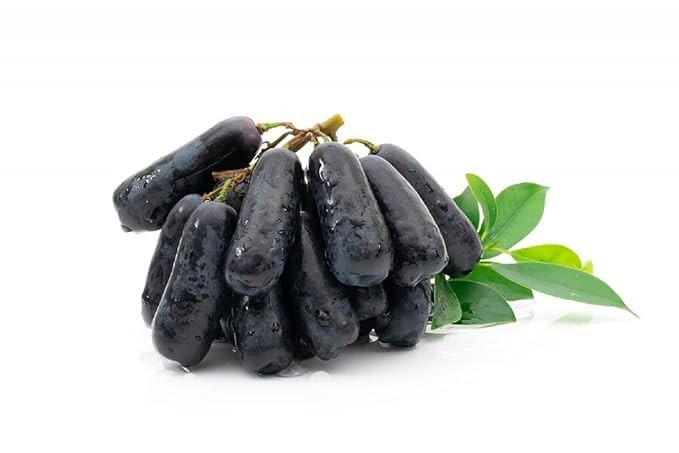 Black Grapes / काले अंगूर